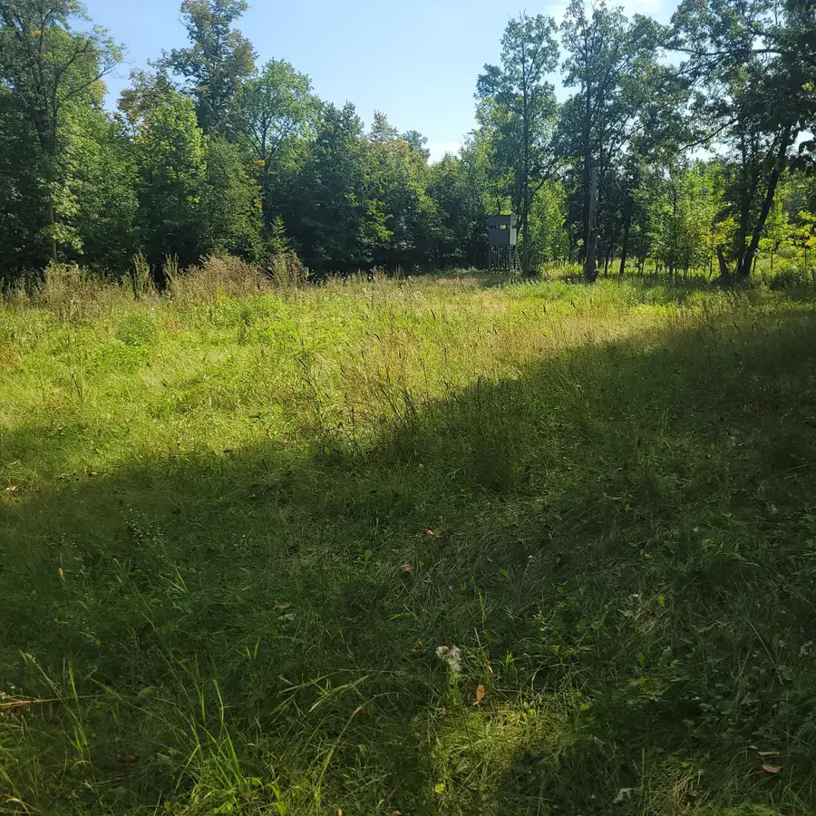 TBD Jeff Lake Road, Richville, MN 56576 - #3