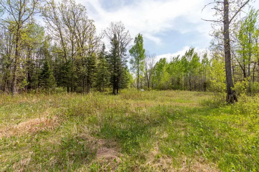 TBD Stephani Road Nw, Puposky, MN 56667 - #2