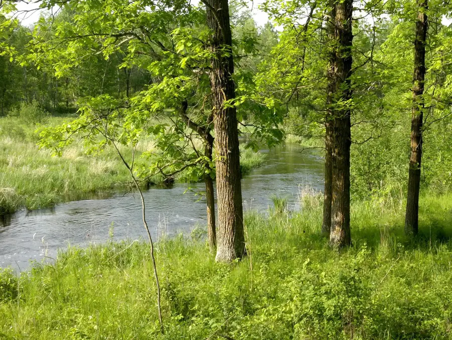 10005 Rice Road, Brook Park, MN 55007 - #2