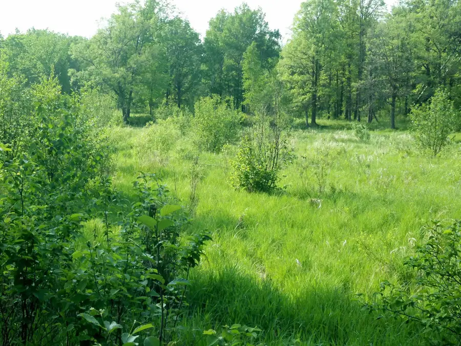 10005 Rice Road, Brook Park, MN 55007 - #3