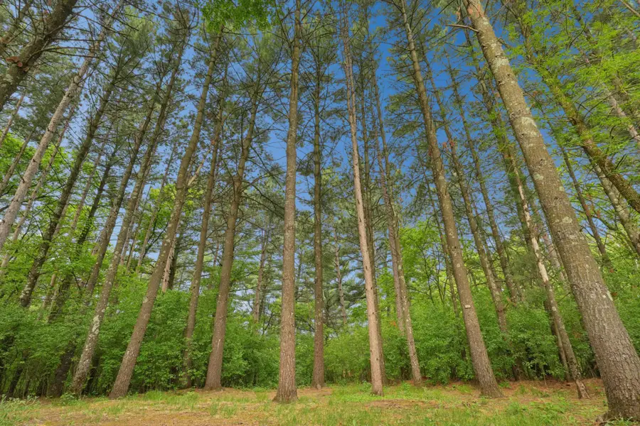 350 Blue Spruce Lane, Somerset, WI 54025 - #3