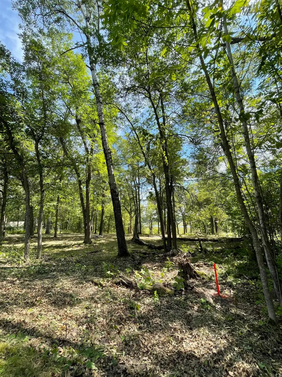 TBD Wedgewood Road Nw, Walker, MN 56484 - #2