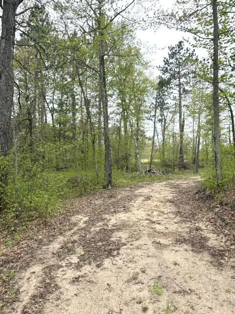 22132 Buckhorn Trail, Merrifield, MN 56465