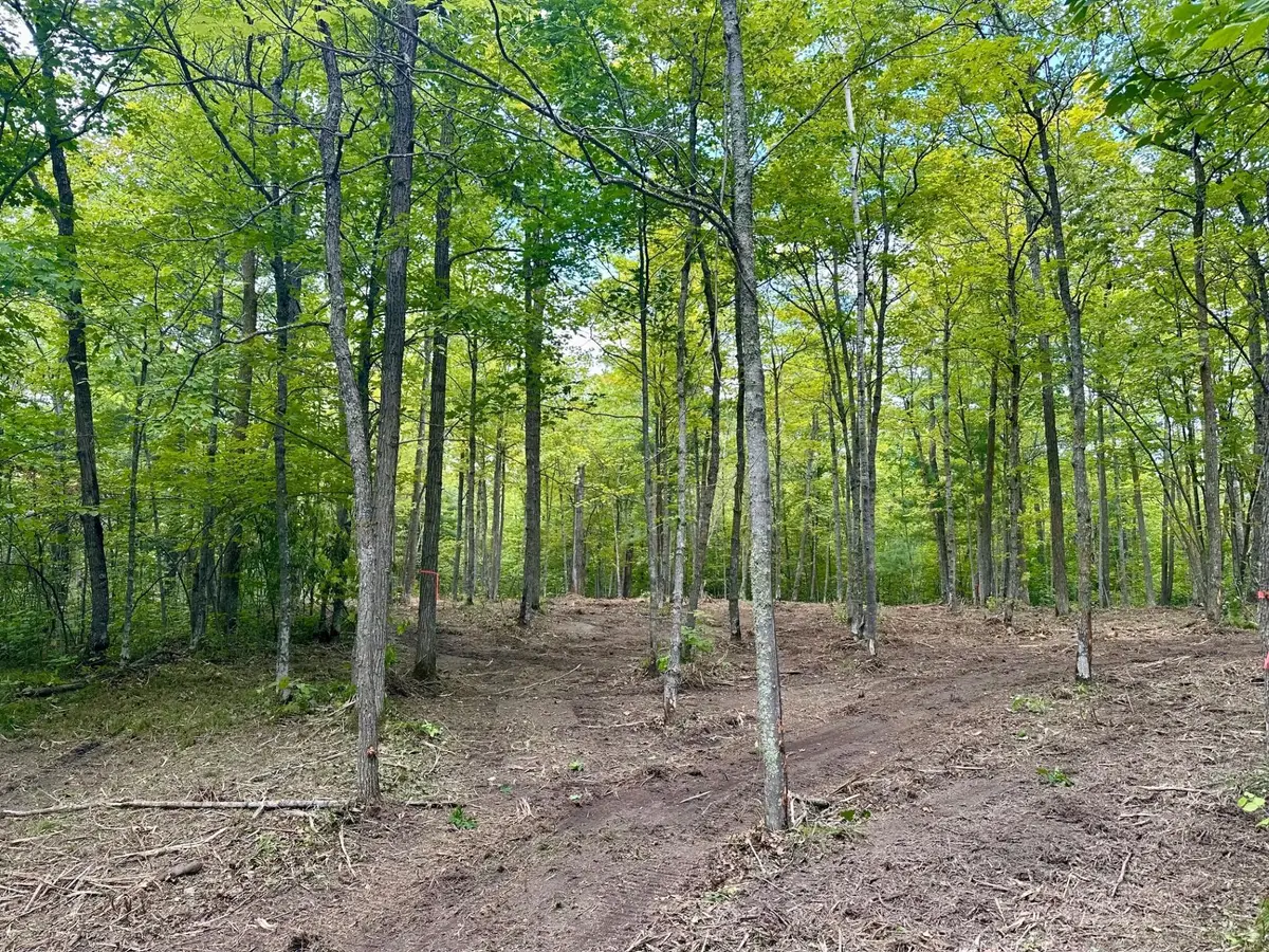TBD County Road 157 Ne, Remer, MN 56672 - #1