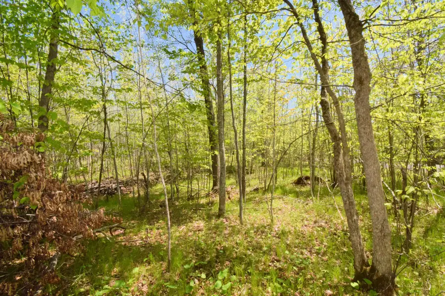 Lot 10 Fremsted Road, Danbury, WI 54830 - #2