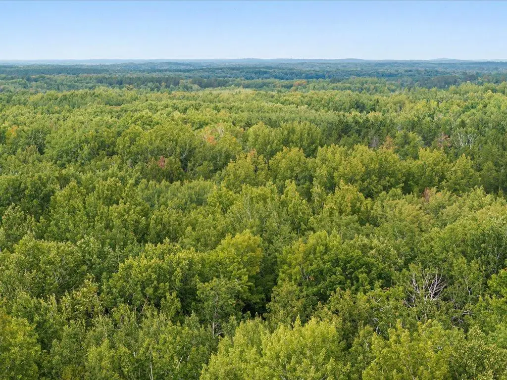 Lot I Sandbar Lane, Merrifield, MN 56465 - #1