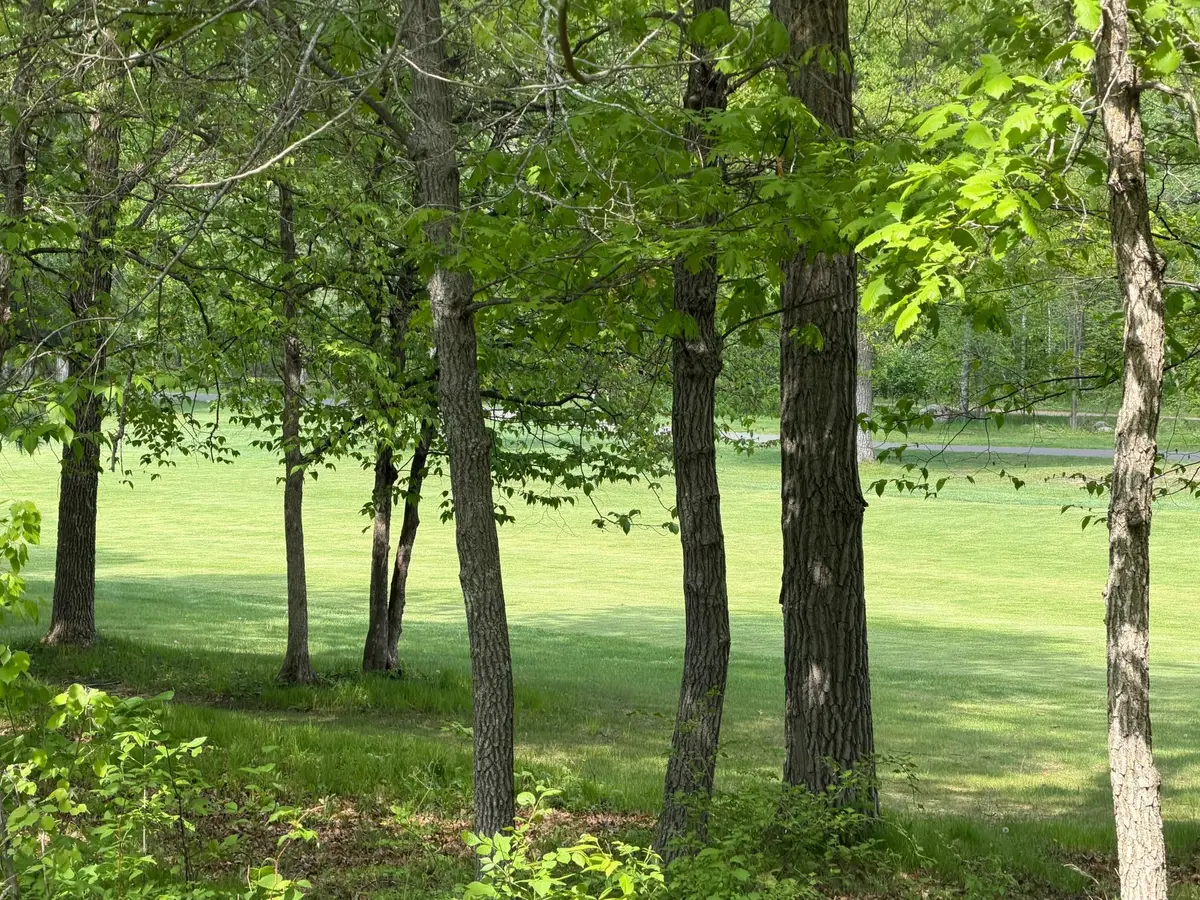 TB County Road 16, Pequot Lakes, MN 56472 - #1