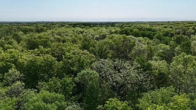 TBD Lakeshore Boulevard, Wahkon, MN 56386 - #3