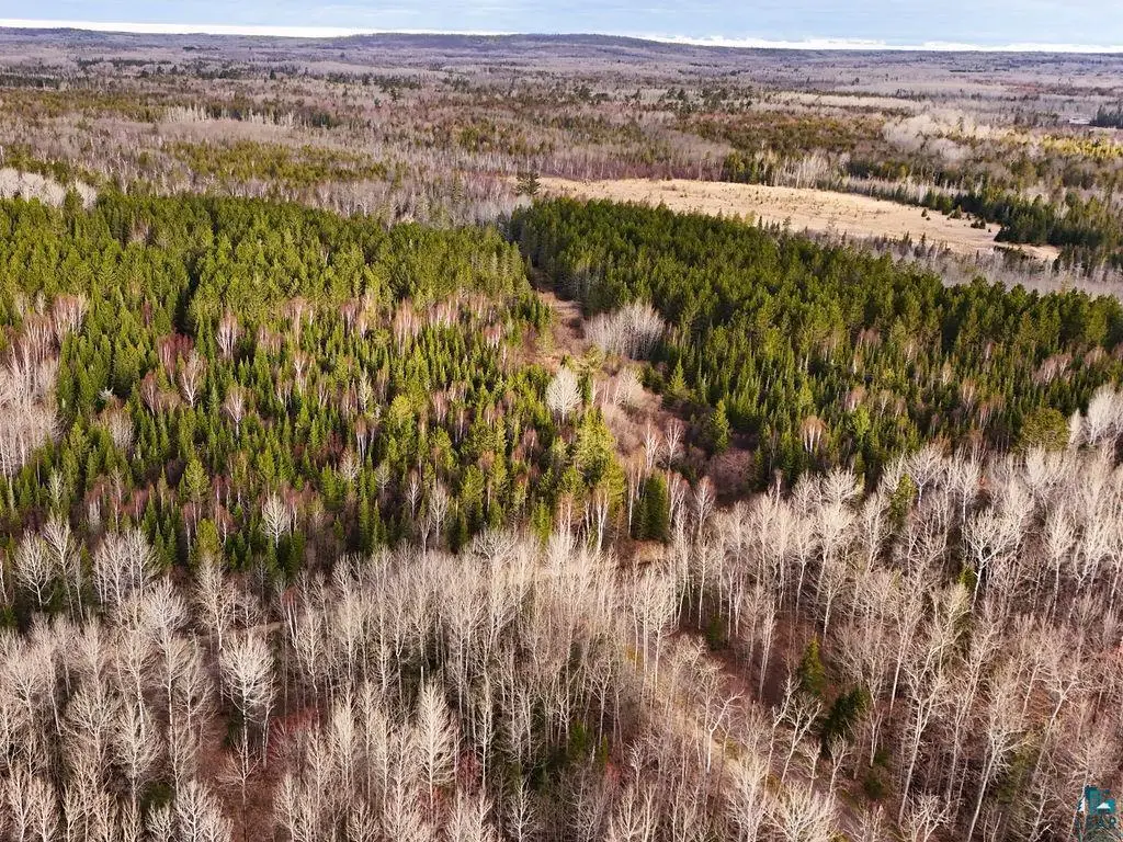 64xx Bergquist Road, Duluth, MN 55804 - #1
