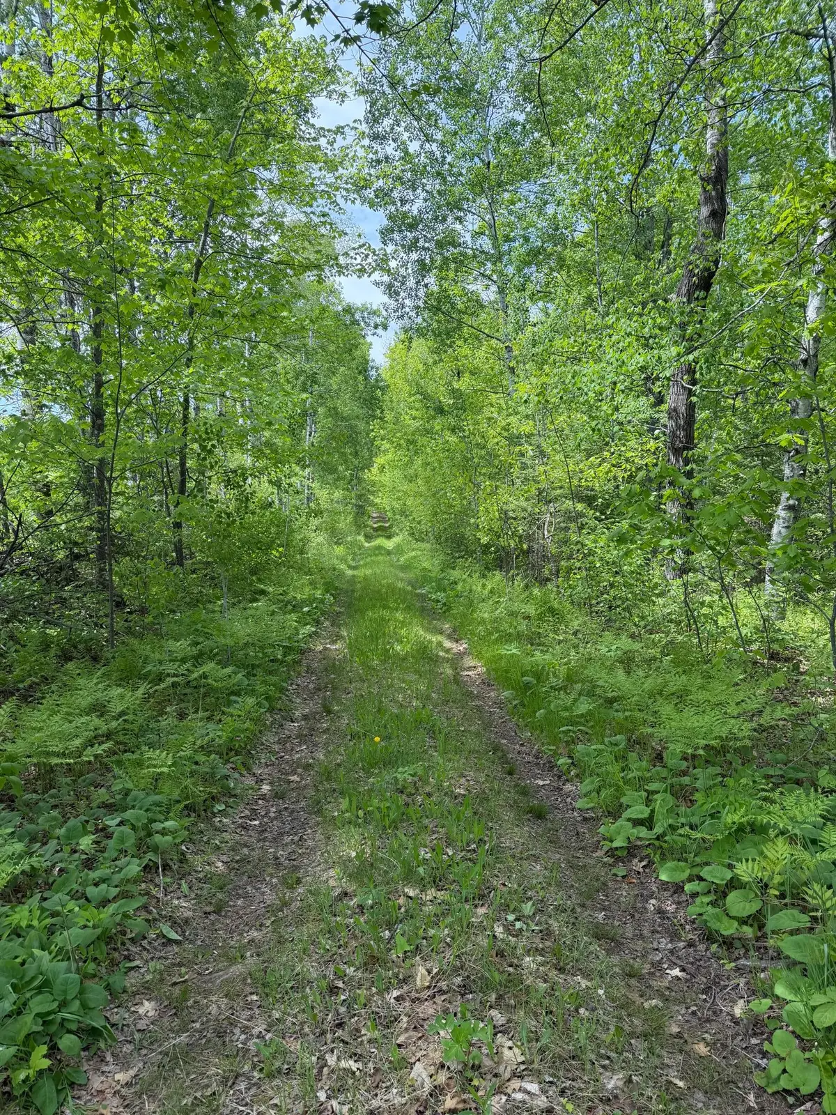 TBD Range Line Rd, Kerrick, MN 55756 - #1