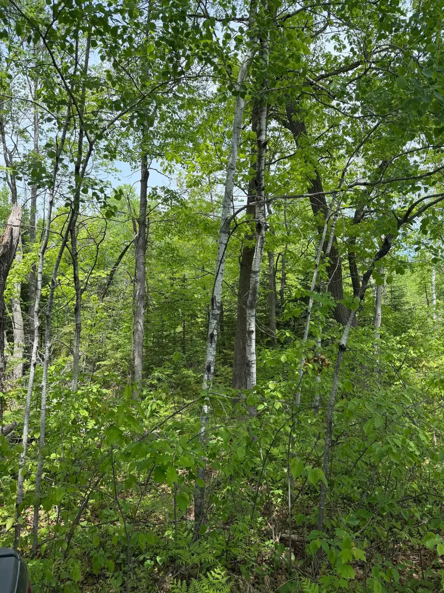 TBD Range Line Rd, Kerrick, MN 55756 - #3