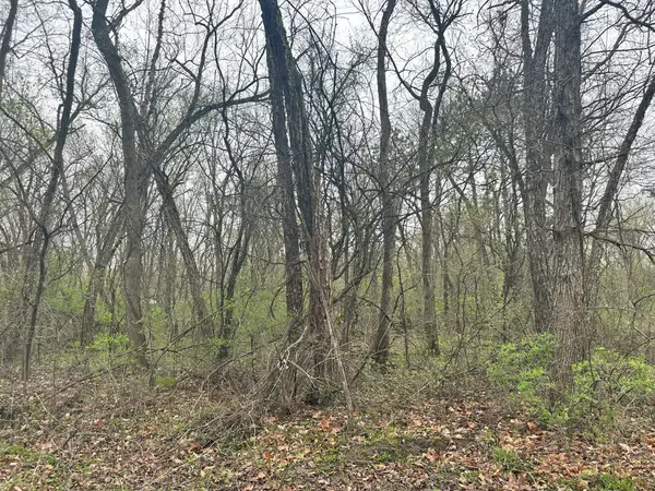 Lot 0 Catfish Drive, Trempealeau, WI 54661