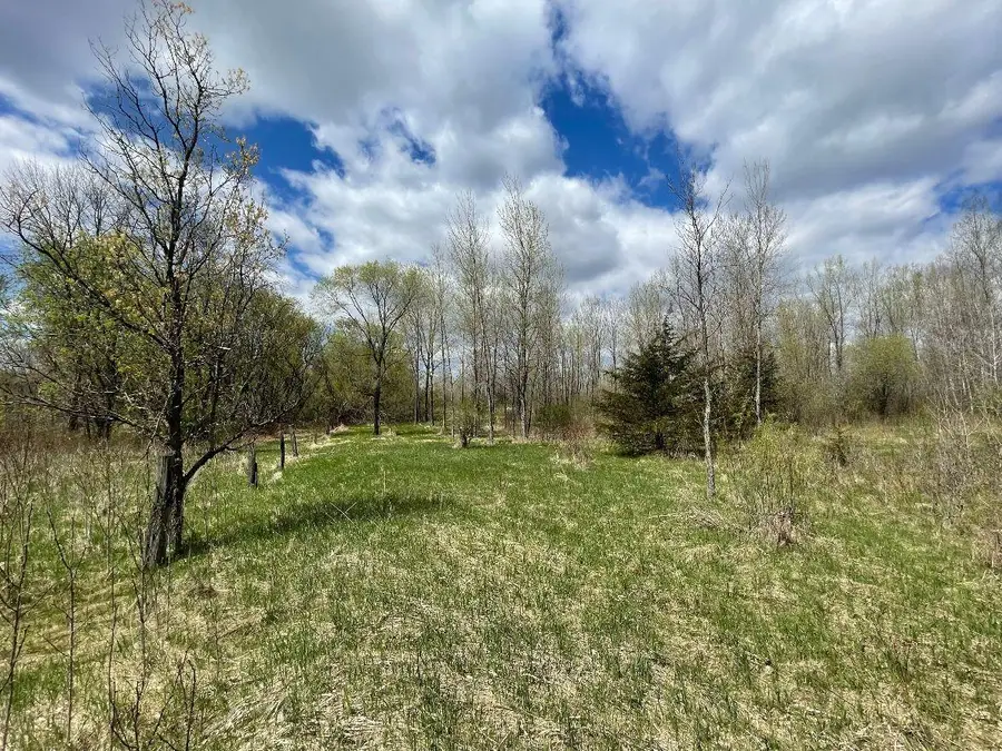 TBD 170th Street N, Hugo, MN 55038 - #2