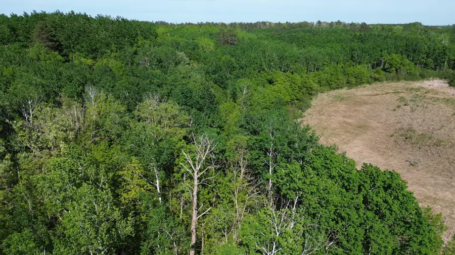 TBD County 4, Park Rapids, MN 56470 - #2