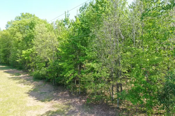 XXX Evergreen Avenue, Saint Croix Falls, WI 54024