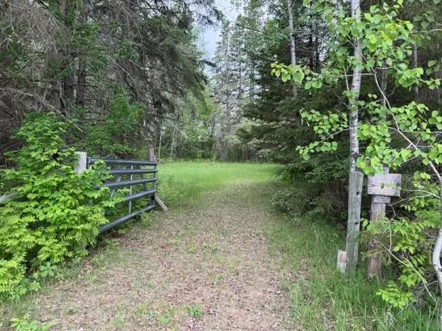 40781 County 2, Bagley, MN 56621 - #3
