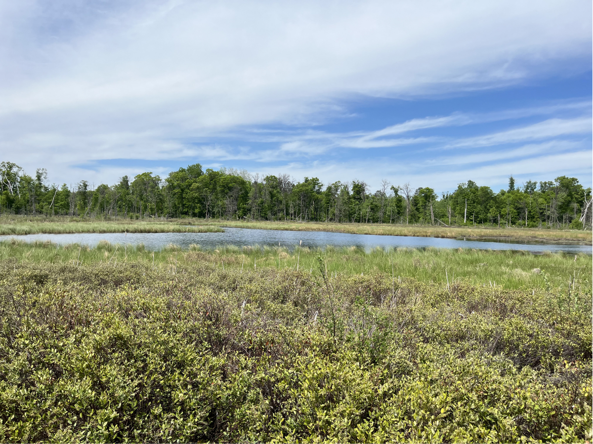 13384 Sorenson Lake Road, Merrifield, MN 56465 - #1