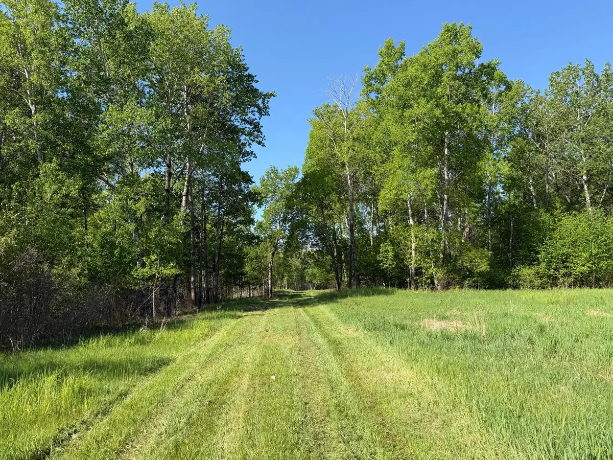 54003 Dollar Lake Road, Sandstone, MN 55072 - #1