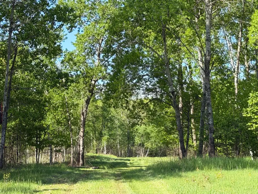 54003 Dollar Lake Road, Sandstone, MN 55072 - #2