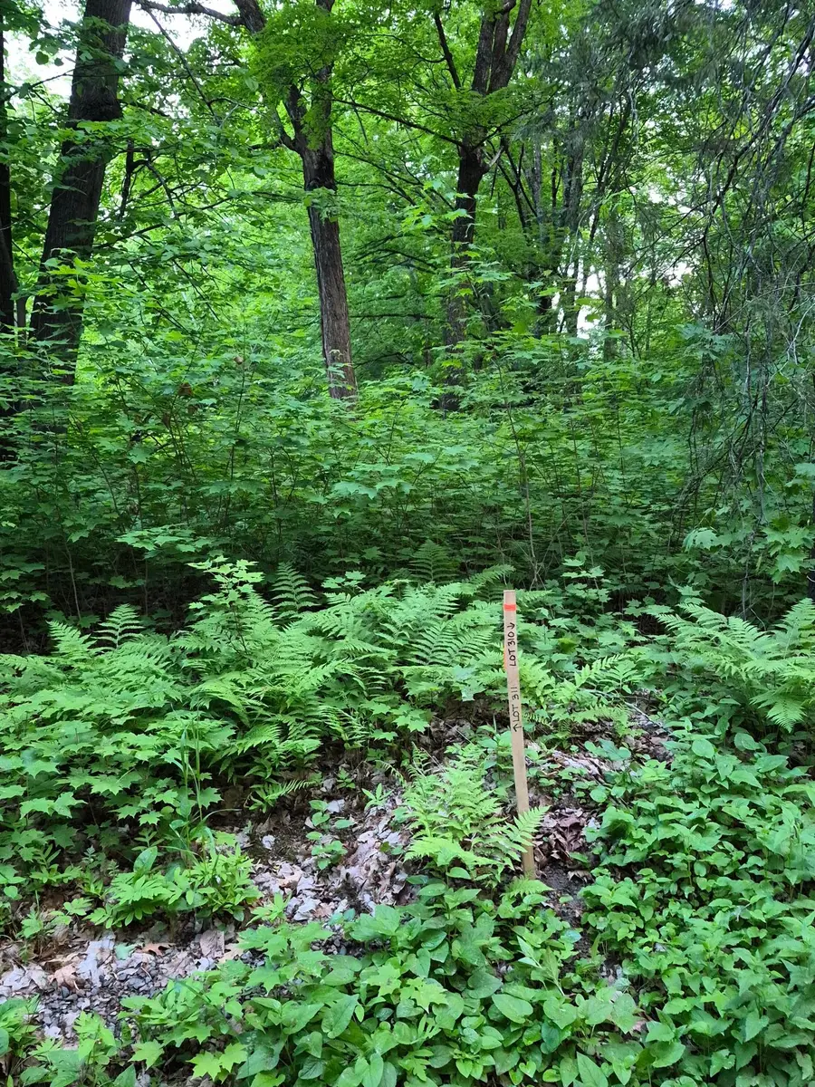 TBD Lot 310 197th Ave, McGregor, MN 55760 - #2