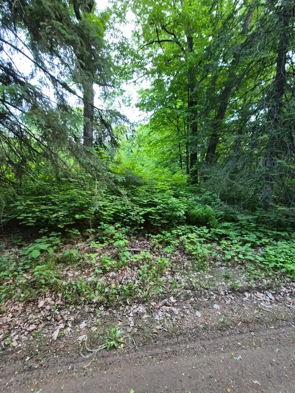 48458 197th Avenue, McGregor, MN 55760