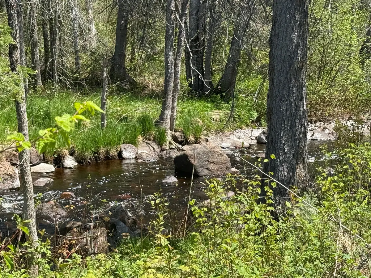 TBD Crown Creek Spur Rd, Finland, MN 55603 - #1