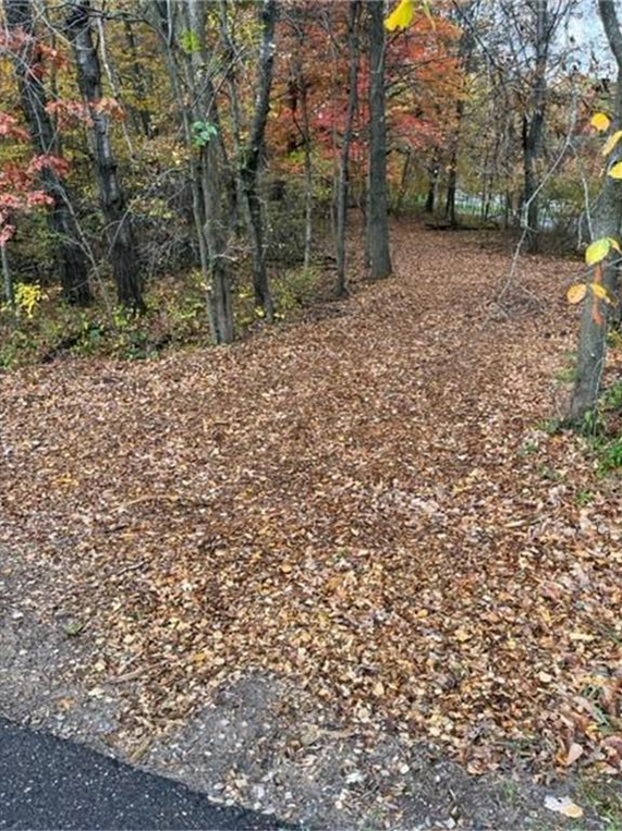 Lot 4 Tiger Street Nw, Princeton, MN 55371