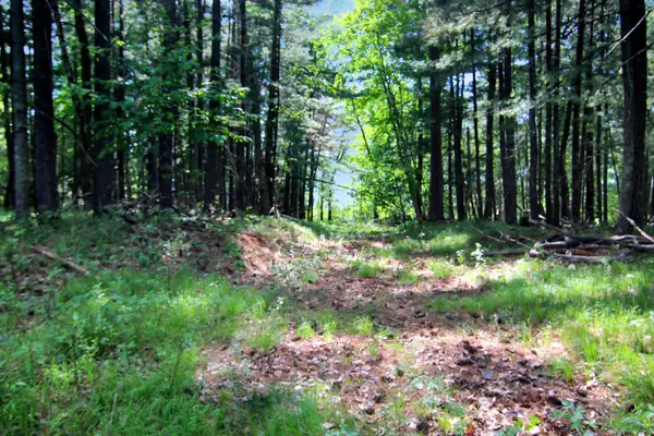 4294 Nod A Way Drive, Nisswa, MN 56468
