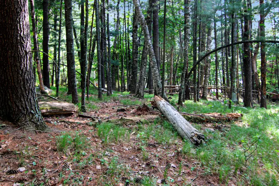 4294 Nod A Way Drive, Nisswa, MN 56468 - #3
