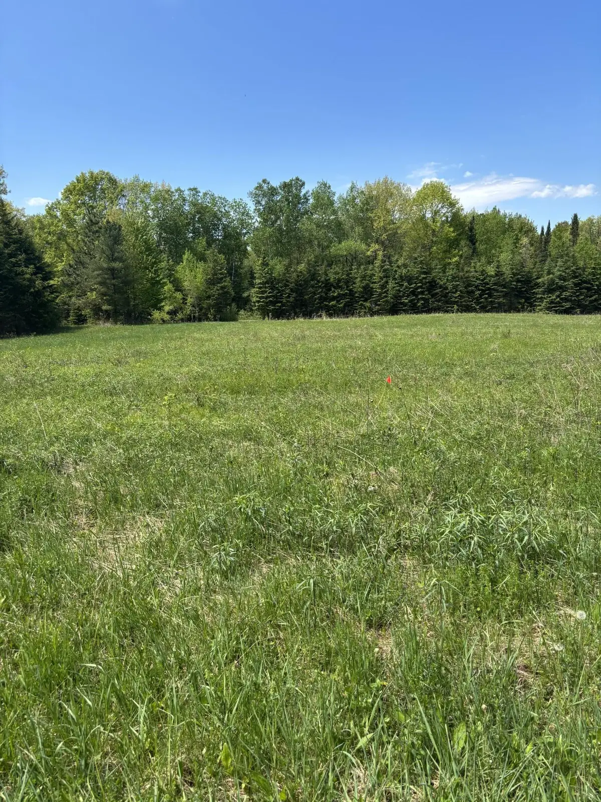 N3860 Kostka Road, Ladysmith, WI 54848 - #1
