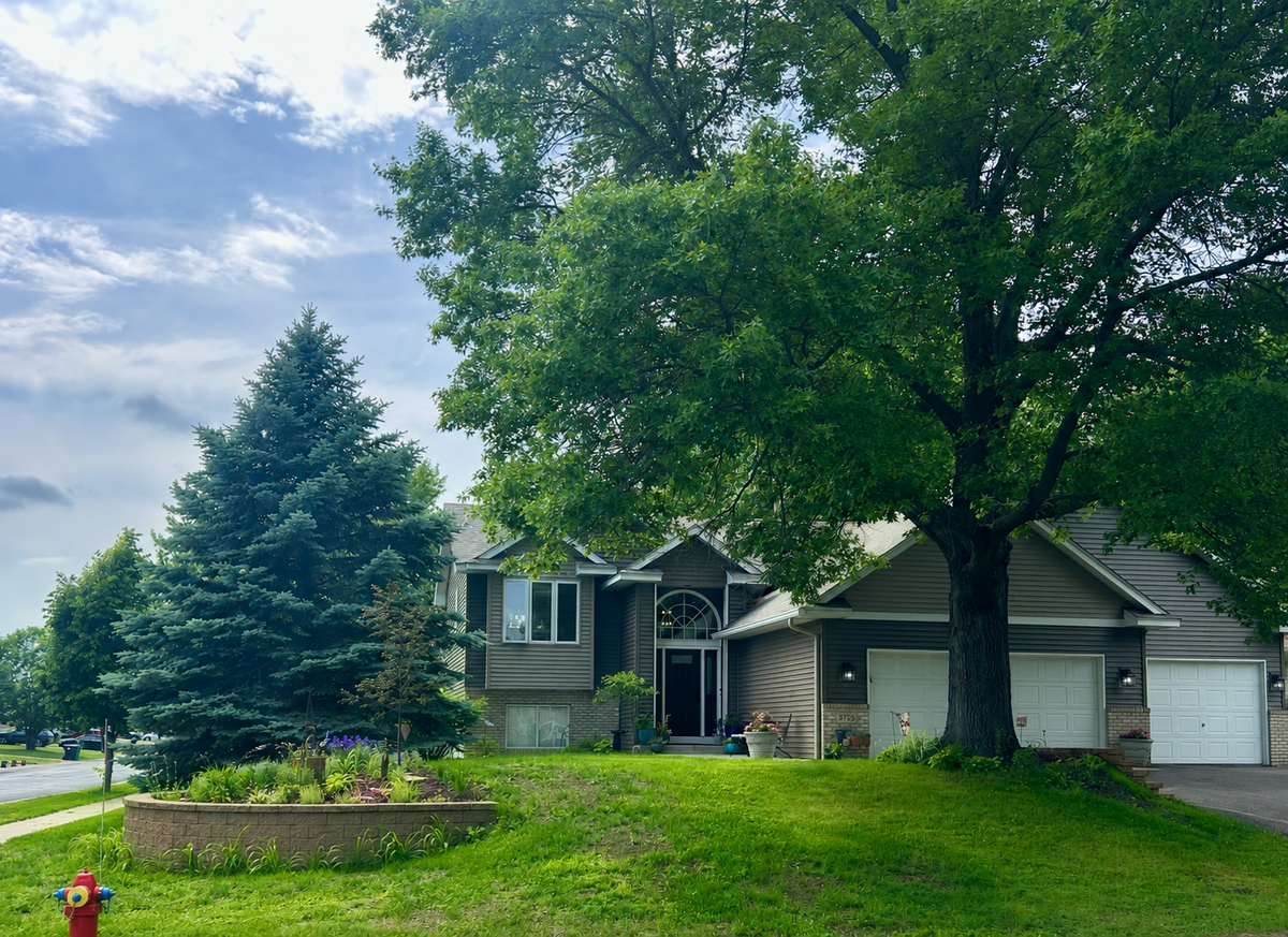 3729 Tower Pond Drive, Anoka, MN 55303 - #1