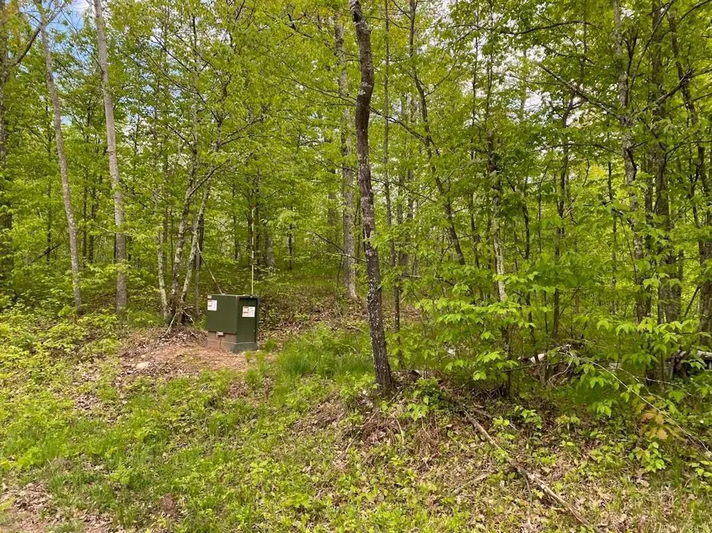 Lot 8 Hustvet, Chicog, WI 54888 - #1