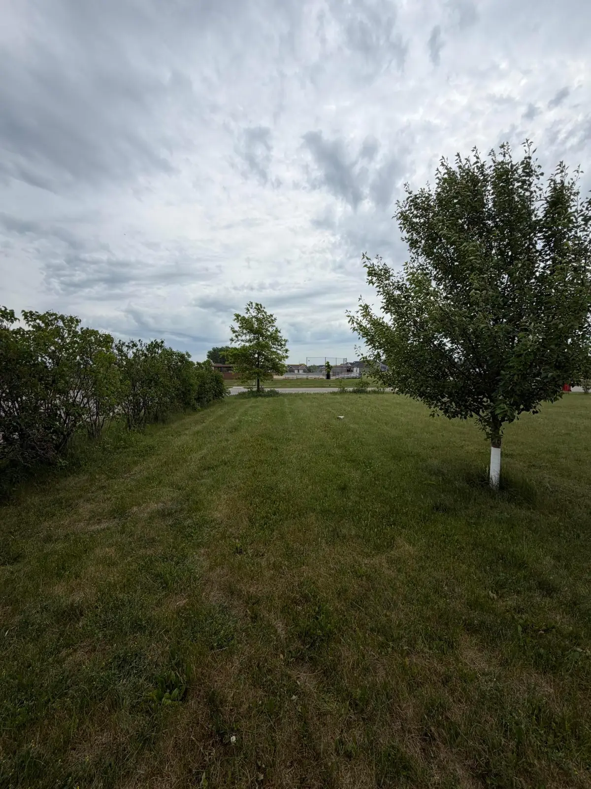 611 11th Avenue Ne, Kasson, MN 55944 - #1