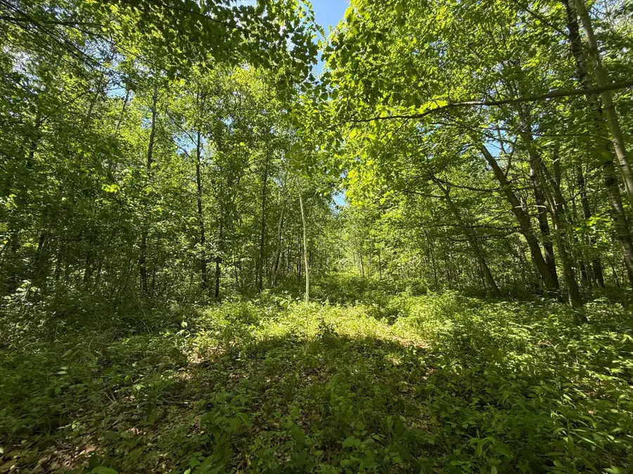 TBD Sandhill Crane Ln, Pine City, MN 55063 - #2