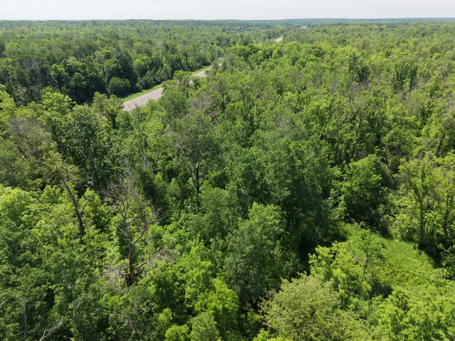 TBD Hwy 65, Isle, MN 56342 - #3
