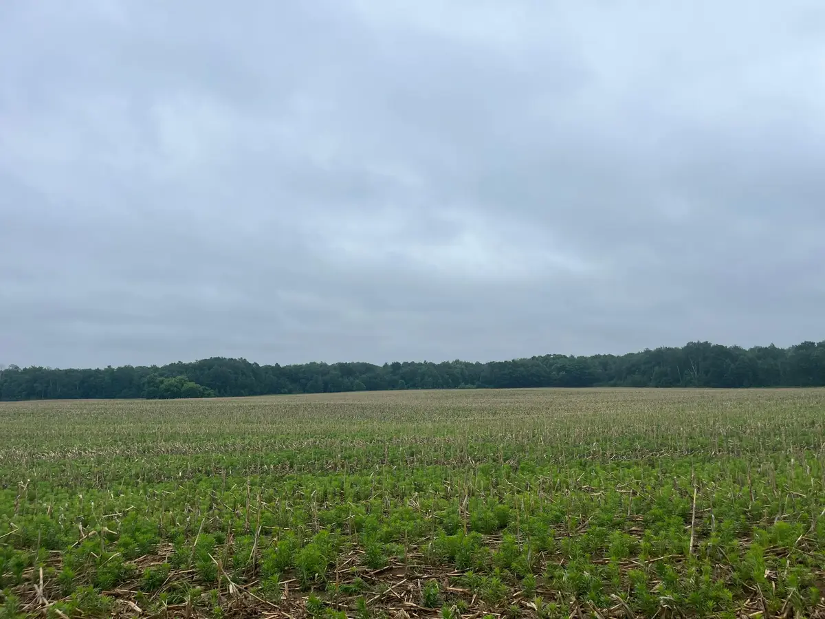 TBD (Lot 2) Hemingway Avenue, North Branch, MN 55056 - #1