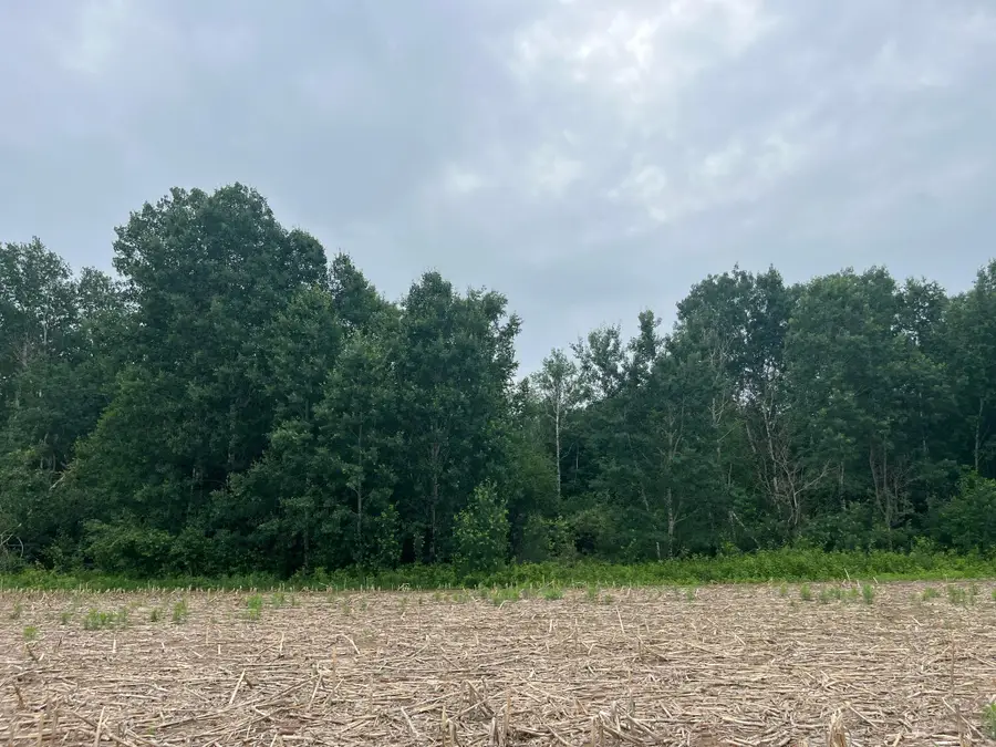 TBD (Lot 2) Hemingway Avenue, North Branch, MN 55056 - #3