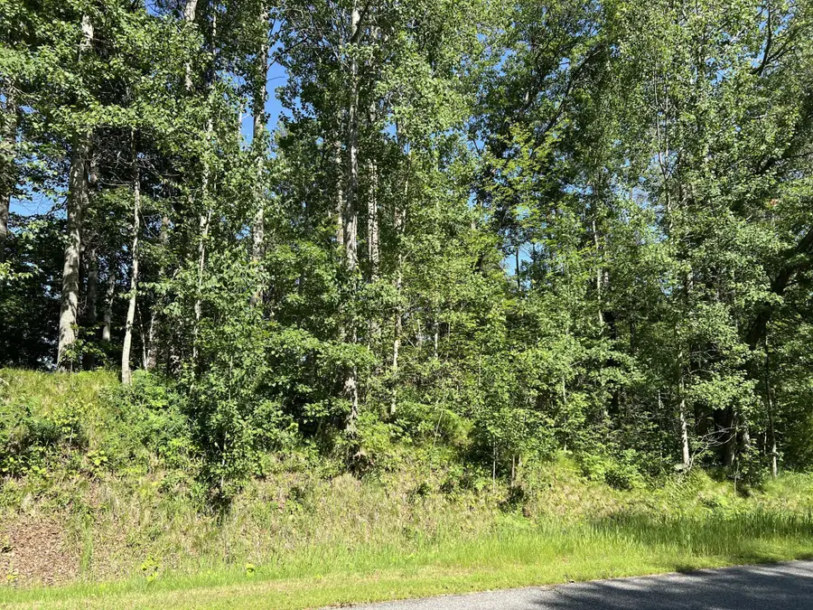 Lot 8 Terminal Road, Breezy Point, MN 56472 - #2