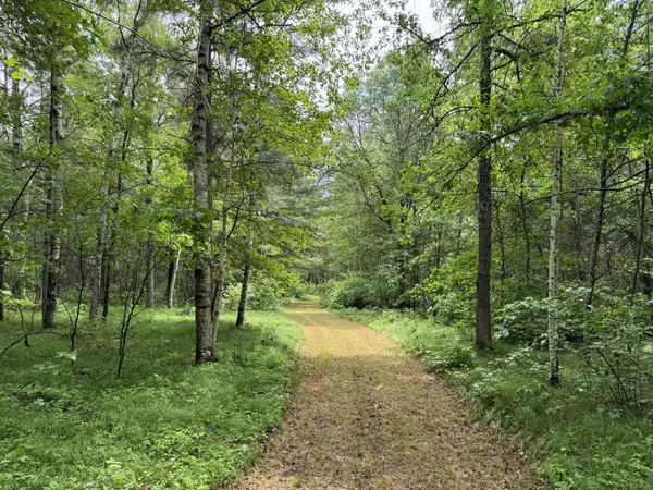 TBD County Road 13, Nisswa, MN 56468