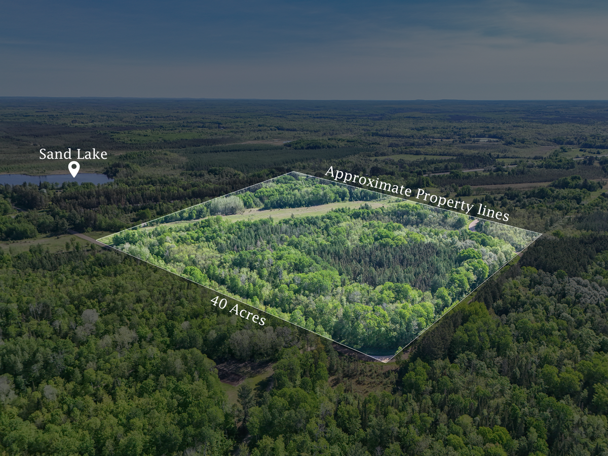 TBD North Shallow Lake Route, Warba, MN 55793 - #1