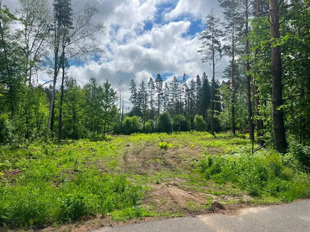 Lot 9 Blk 1 Isleview Road, Grand Rapids, MN 55744 - #1