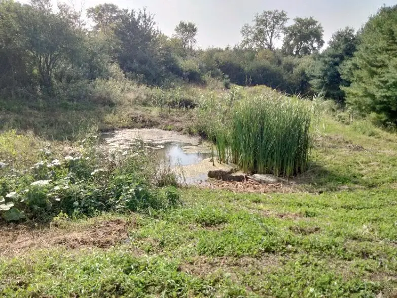 TBD Coulee, Hudson, WI 54016 - #3