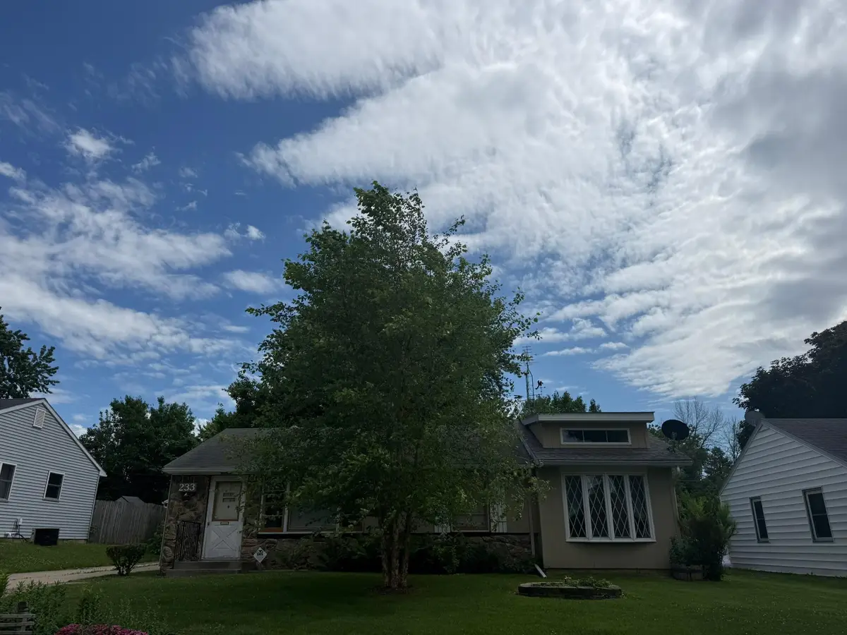 233 W Mckinley Street, Owatonna, MN 55060 - #1