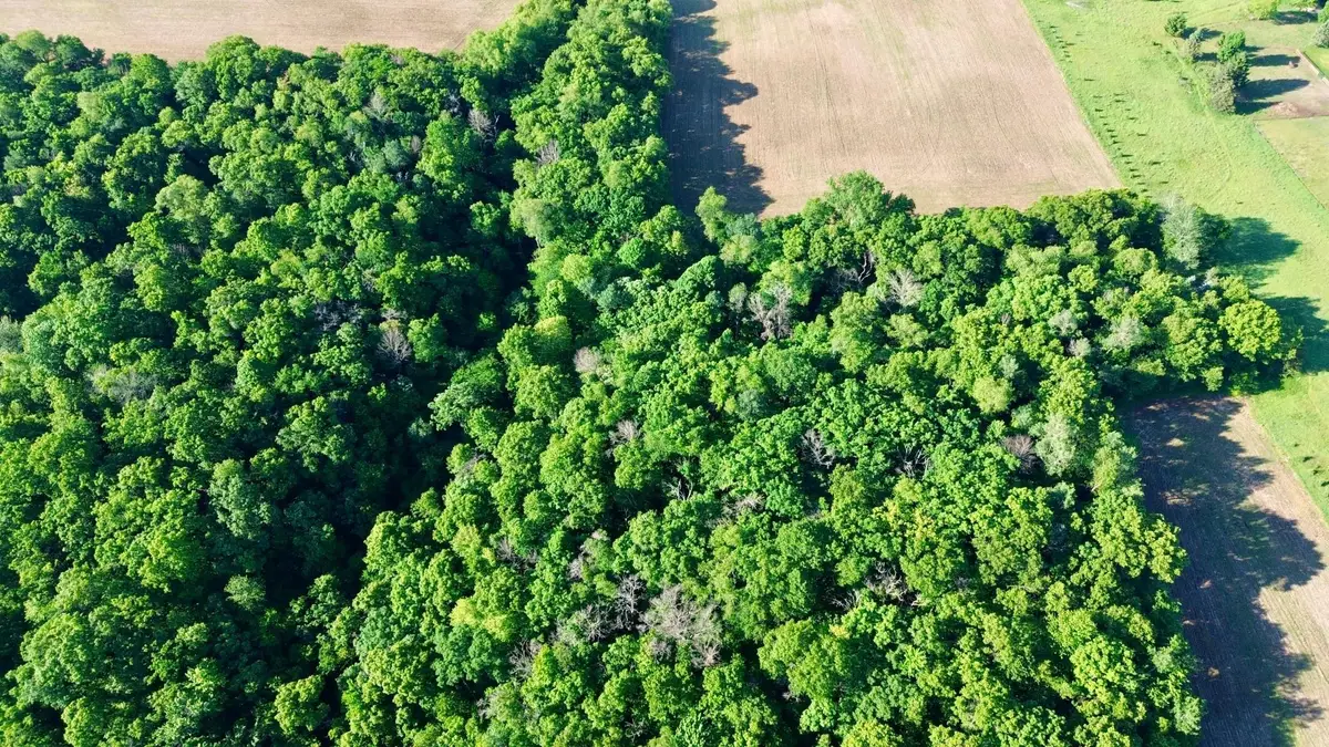 Lot 2 160th Ave, Maiden Rock, WI 54750 - #1