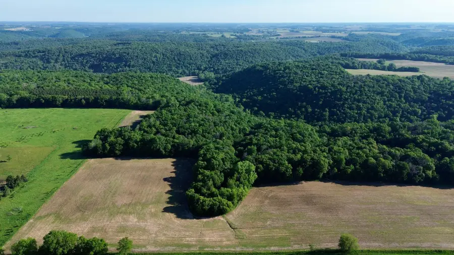 Lot 2 160th Ave, Maiden Rock, WI 54750 - #2