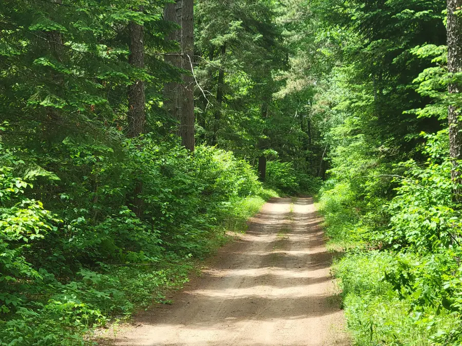 1045B State Trail, Nevis, MN 56467 - #3
