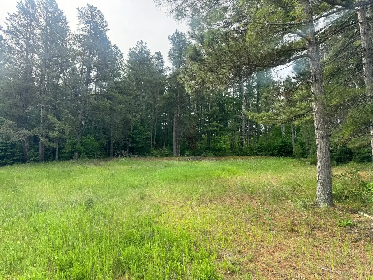 TBD Tract 1 County 13, Nevis, MN 56467 - #1