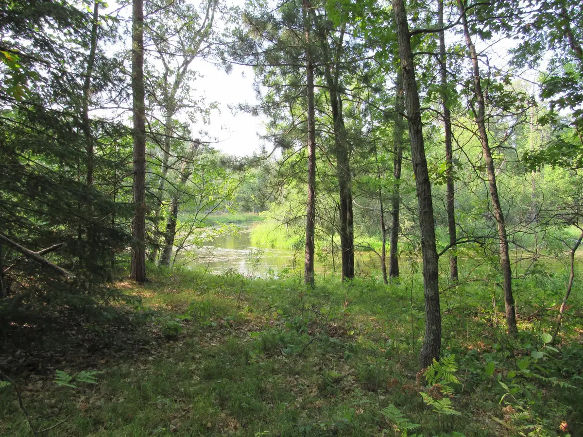 LOTS 5-11 TBD FRONT STREET Front Street, Pine River, MN 56474 - #1