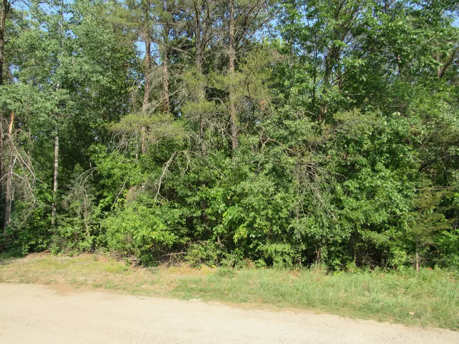 LOTS 5-11 TBD FRONT STREET Front Street, Pine River, MN 56474 - #3
