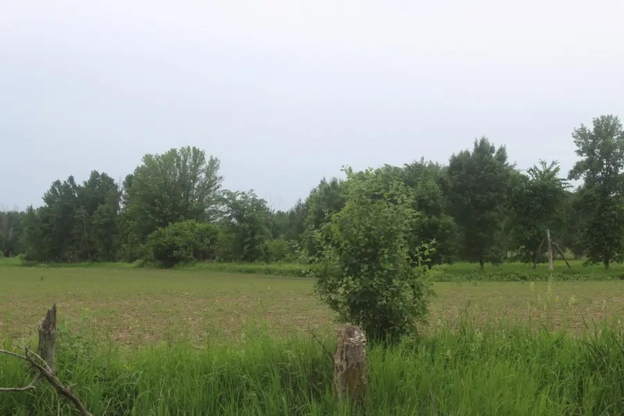 TBD-1 120th Avenue, Ogilvie, MN 56358 - #3